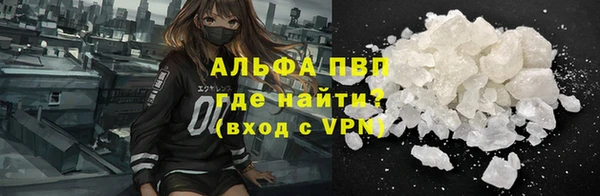 тгк Дмитриев