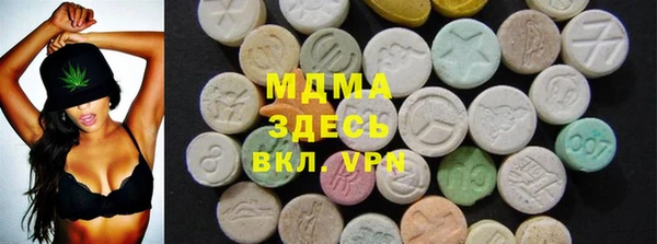 тгк Дмитриев
