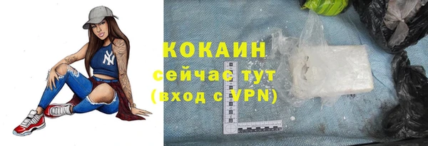 сатива Дмитровск