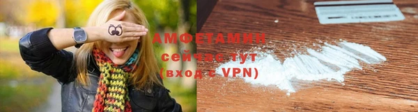 тгк Дмитриев