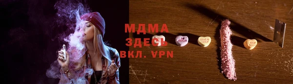 тгк Дмитриев