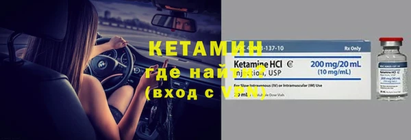 сатива Дмитровск