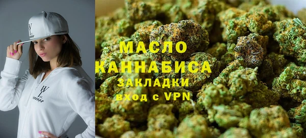 тгк Дмитриев