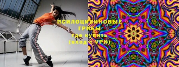 сатива Дмитровск