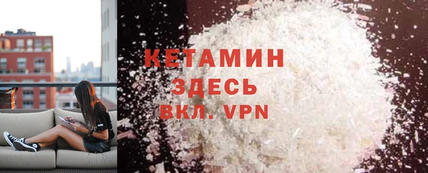 тгк Дмитриев