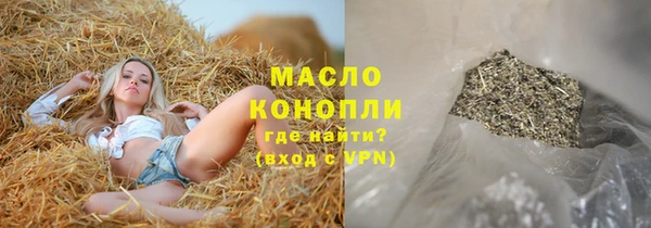 тгк Дмитриев