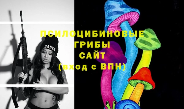 тгк Дмитриев