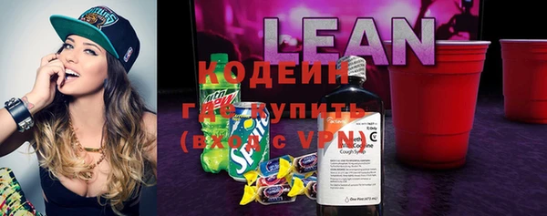 тгк Дмитриев